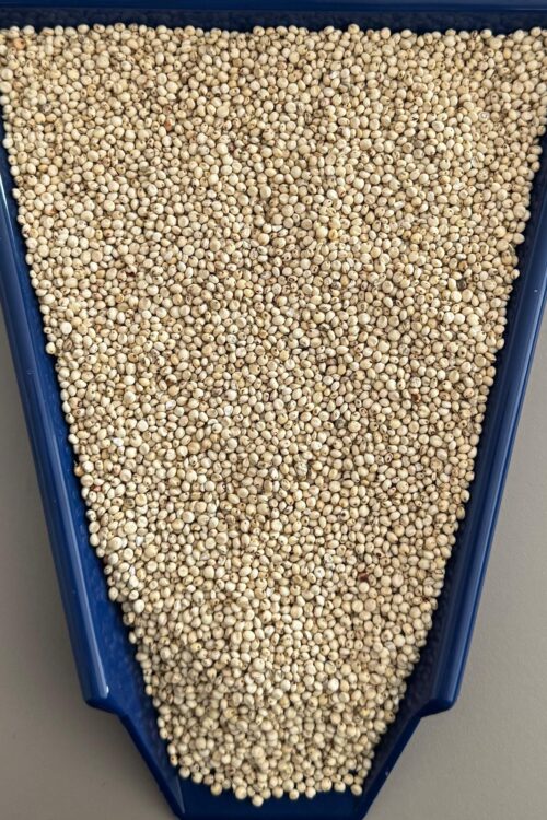 Footer Primary