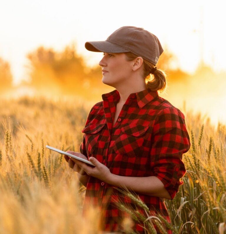 Anasayfa