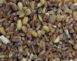 Bulgur Resort Feed