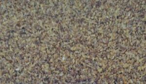Bulgur Sorteks