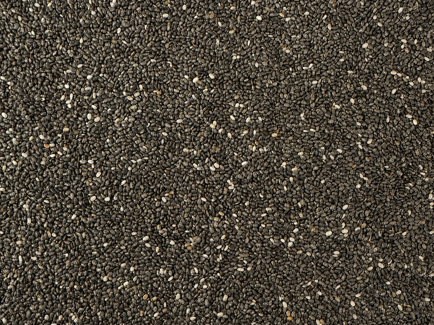 Chia Tohumu