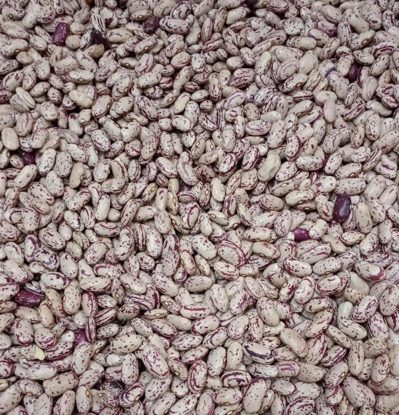 Imported Borlotti Beans