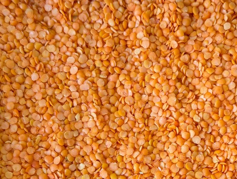 Imported Red Split Lentils