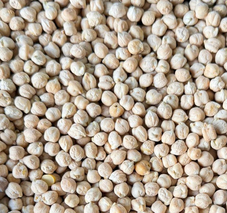 Imported Chickpeas