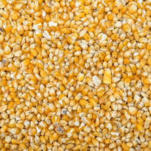 Cracked Corn