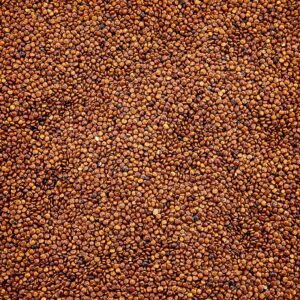 Red Quinoa
