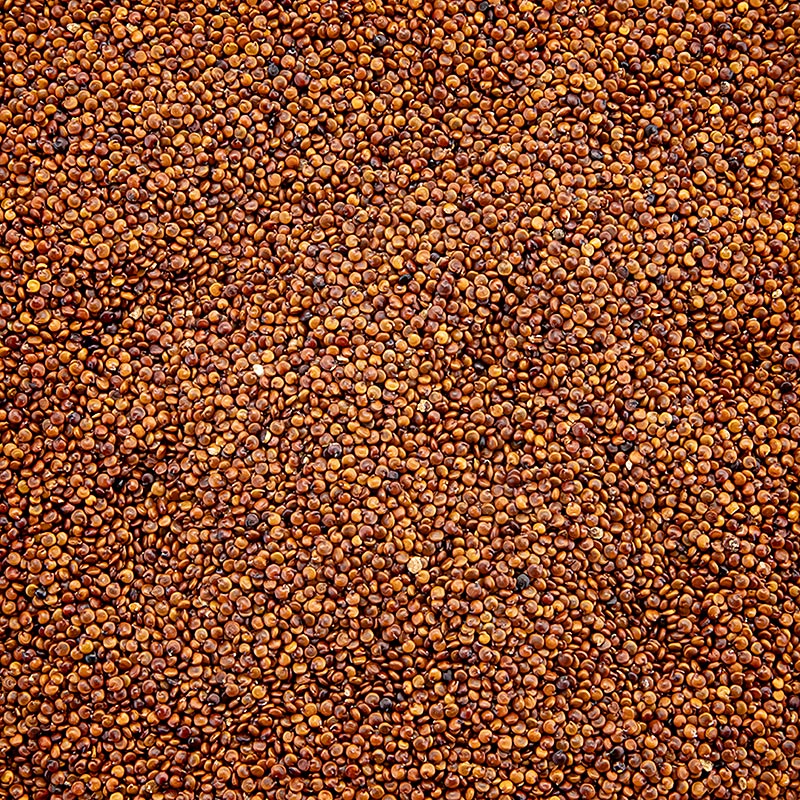 Kırmızı Kinoa
