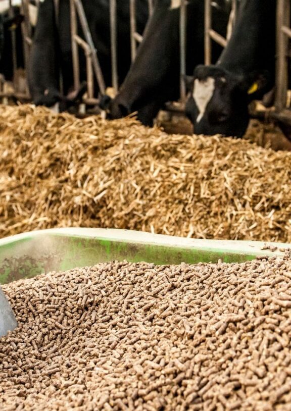 Mucet Agro; kepek, elekaltı, kırık, un ve sorteks yem ürünlerinde yem sanayisine yönelik düzenli, güvenilir ve sürdürülebilir hammadde tedariki sağlar.
