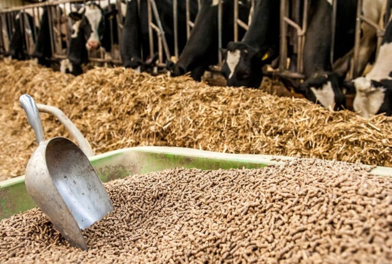 Mucet Agro; kepek, elekaltı, kırık, un ve sorteks yem ürünlerinde yem sanayisine yönelik düzenli, güvenilir ve sürdürülebilir hammadde tedariki sağlar.