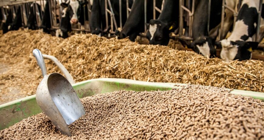 Mucet Agro; kepek, elekaltı, kırık, un ve sorteks yem ürünlerinde yem sanayisine yönelik düzenli, güvenilir ve sürdürülebilir hammadde tedariki sağlar.