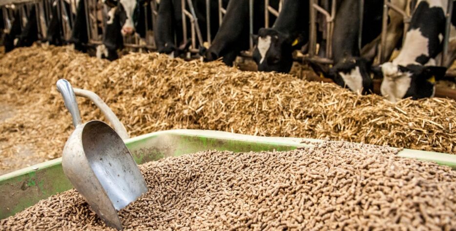 Mucet Agro; kepek, elekaltı, kırık, un ve sorteks yem ürünlerinde yem sanayisine yönelik düzenli, güvenilir ve sürdürülebilir hammadde tedariki sağlar.